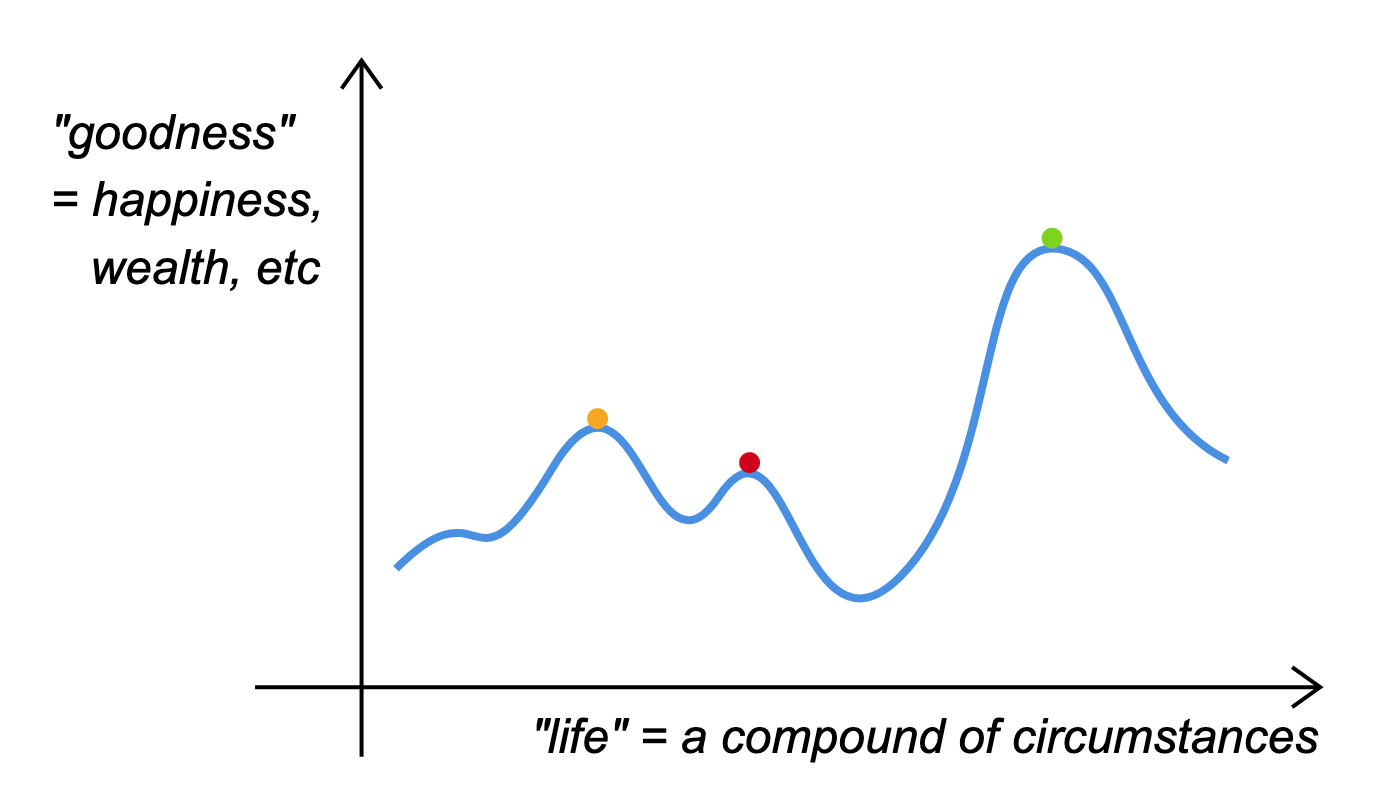 Life as a hill-climbing optimization problem.